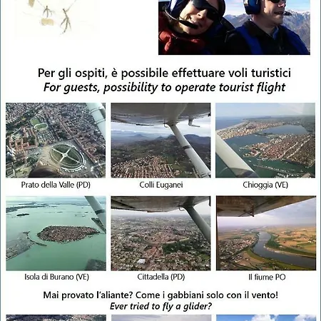 Pettirosso *