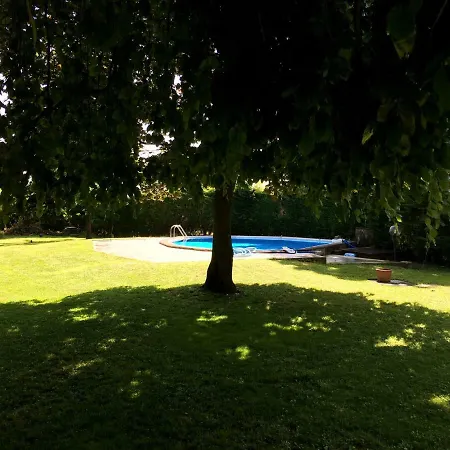 Pettirosso